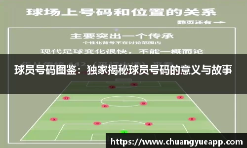 球员号码图鉴：独家揭秘球员号码的意义与故事